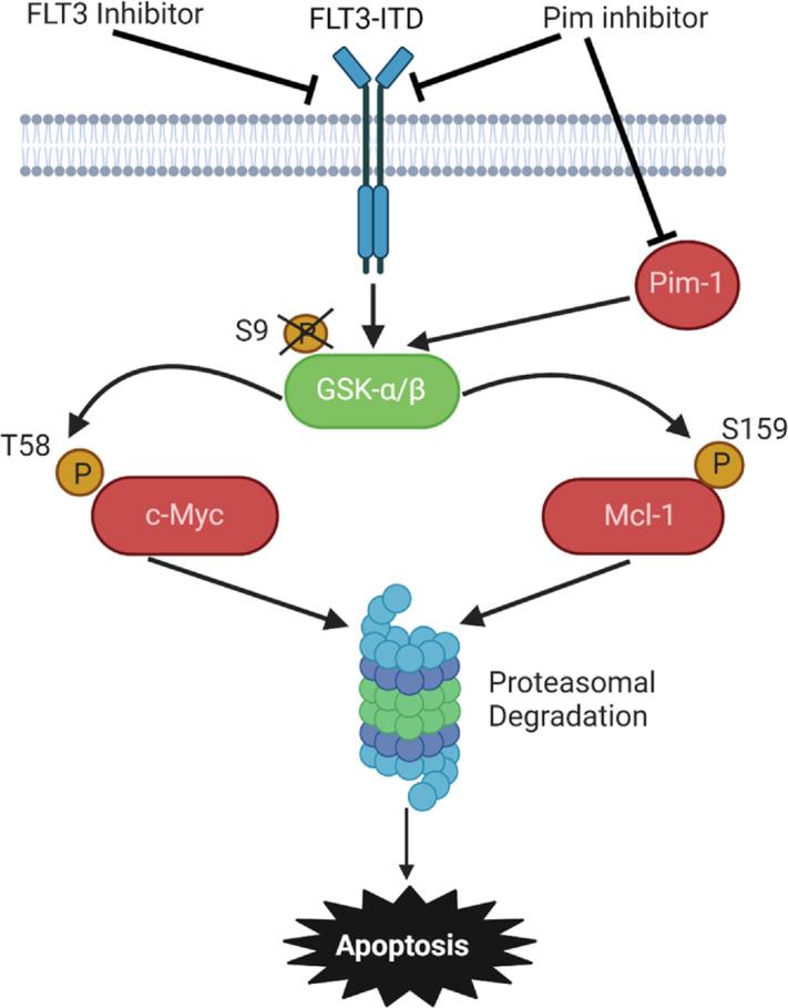 https://cdn.ncbi.nlm.nih.gov/pmc/blobs/1109/10870818/525bec8fccf4/crc-23-0379_fig8.jpg