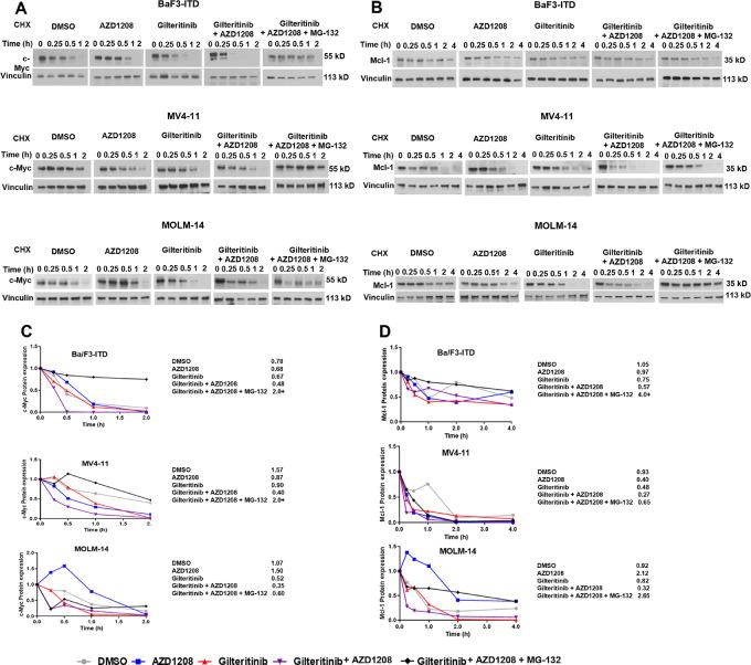 https://cdn.ncbi.nlm.nih.gov/pmc/blobs/1109/10870818/afd2f6993806/crc-23-0379_fig4.jpg