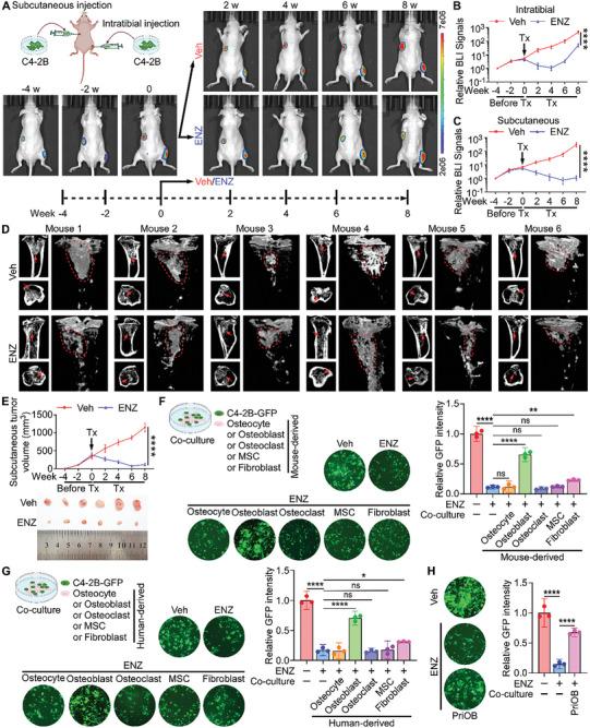 https://cdn.ncbi.nlm.nih.gov/pmc/blobs/1109/11727142/1648b7a065d9/ADVS-12-2407662-g001.jpg