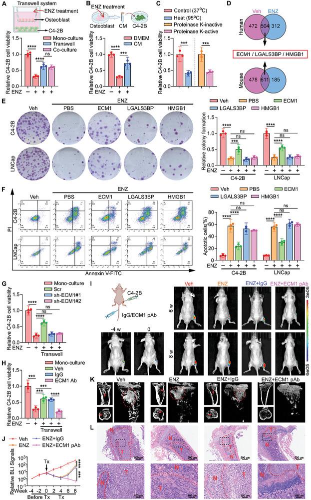 https://cdn.ncbi.nlm.nih.gov/pmc/blobs/1109/11727142/6de5c403c3b0/ADVS-12-2407662-g007.jpg