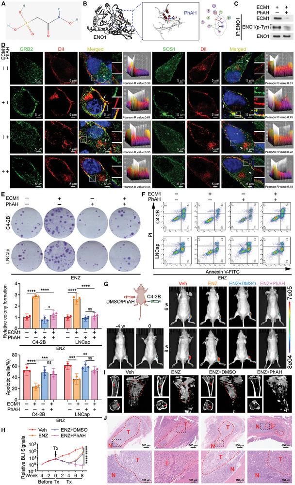 https://cdn.ncbi.nlm.nih.gov/pmc/blobs/1109/11727142/ebb178f3312c/ADVS-12-2407662-g005.jpg