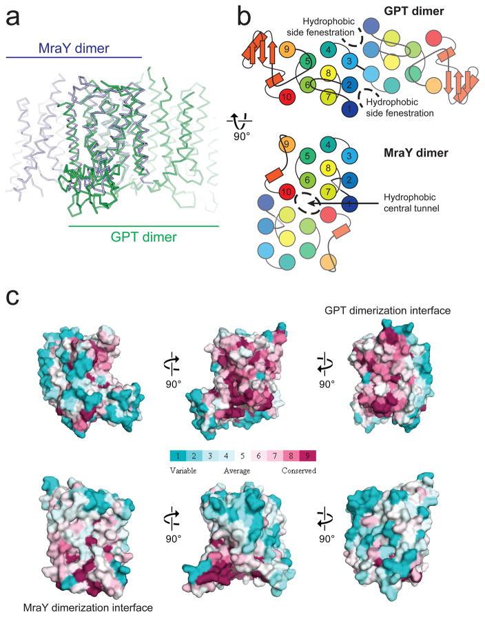 https://cdn.ncbi.nlm.nih.gov/pmc/blobs/1109/5840018/1ab20d6c0ffc/nihms935633f3.jpg