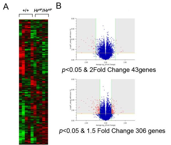 https://cdn.ncbi.nlm.nih.gov/pmc/blobs/110a/3091768/25615cbc544c/1471-2164-11-640-2.jpg