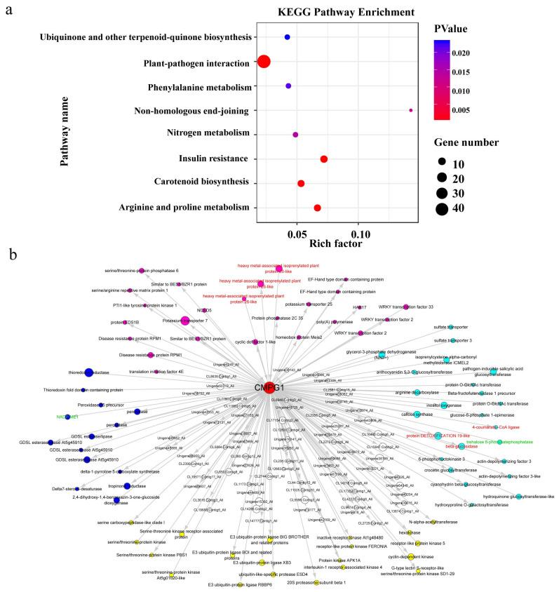 https://cdn.ncbi.nlm.nih.gov/pmc/blobs/110a/7504233/a7493ff41b5c/ijms-21-05967-g008.jpg