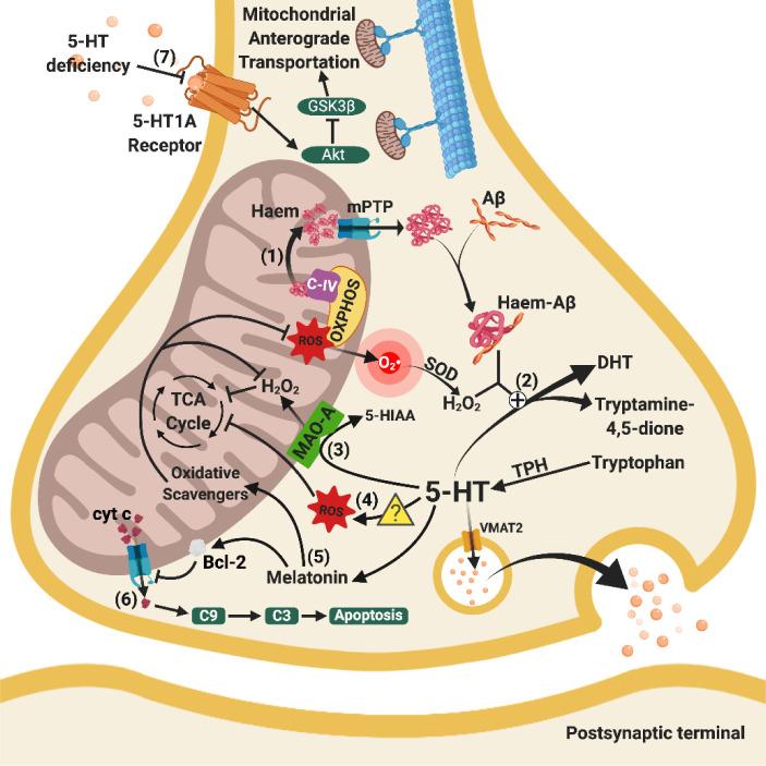 https://cdn.ncbi.nlm.nih.gov/pmc/blobs/110b/7505271/6441ba1053fc/ad-11-5-1291-g2.jpg
