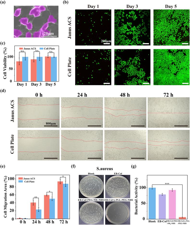 https://cdn.ncbi.nlm.nih.gov/pmc/blobs/110c/12242454/44128b54ae40/gr3.jpg
