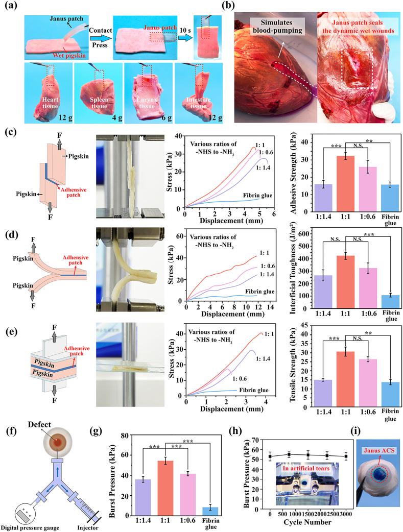 https://cdn.ncbi.nlm.nih.gov/pmc/blobs/110c/12242454/83bde6abe0a5/gr2.jpg