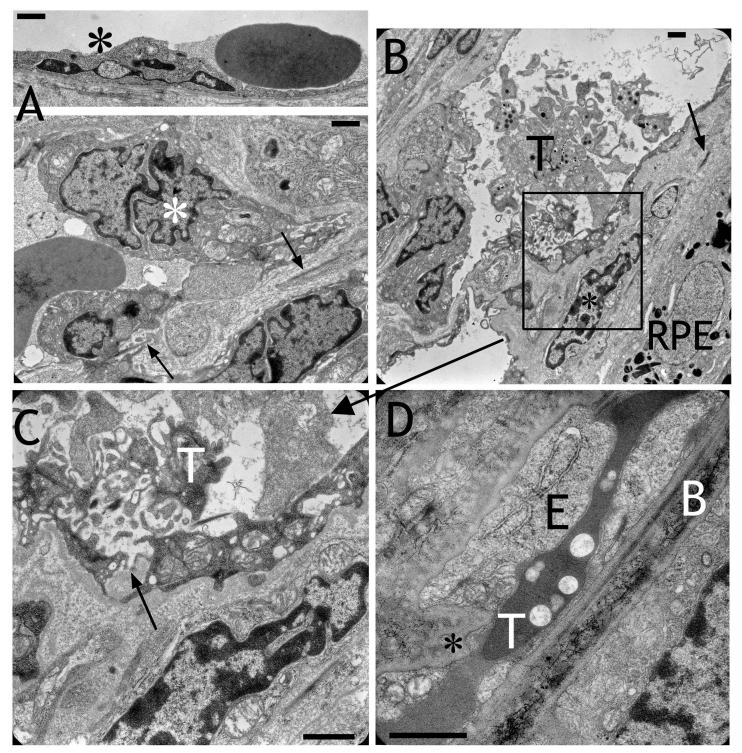 https://cdn.ncbi.nlm.nih.gov/pmc/blobs/110d/2493026/406f34fb9c23/mv-v14-1358-f8.jpg