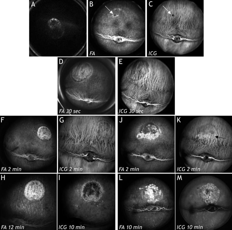 https://cdn.ncbi.nlm.nih.gov/pmc/blobs/110d/2493026/4f71815a87fa/mv-v14-1358-f2.jpg