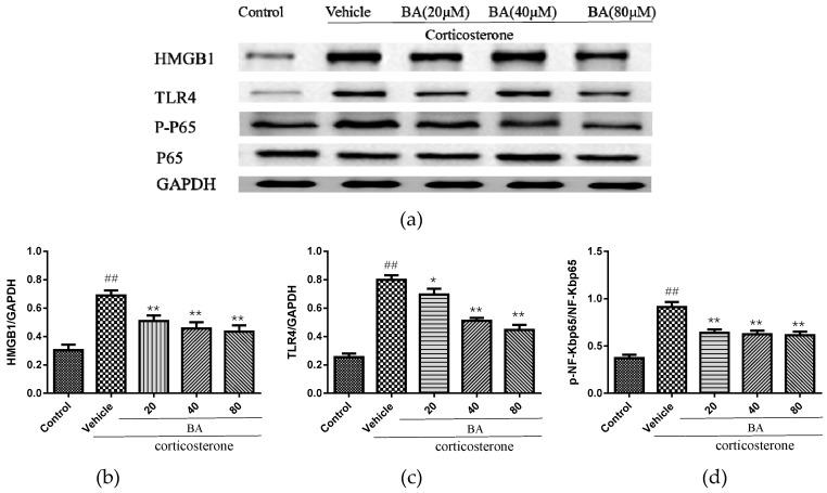 https://cdn.ncbi.nlm.nih.gov/pmc/blobs/1116/6359445/2b358ea6e768/molecules-24-00326-g009.jpg