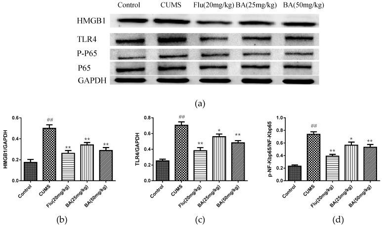 https://cdn.ncbi.nlm.nih.gov/pmc/blobs/1116/6359445/84cac056e9eb/molecules-24-00326-g006.jpg