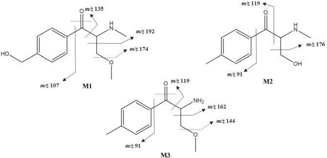 https://cdn.ncbi.nlm.nih.gov/pmc/blobs/1116/9298855/3e755bdfc0c3/DTA-14-269-g004.jpg