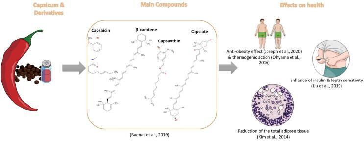 https://cdn.ncbi.nlm.nih.gov/pmc/blobs/1118/8808056/4a376e5541c8/gr2.jpg