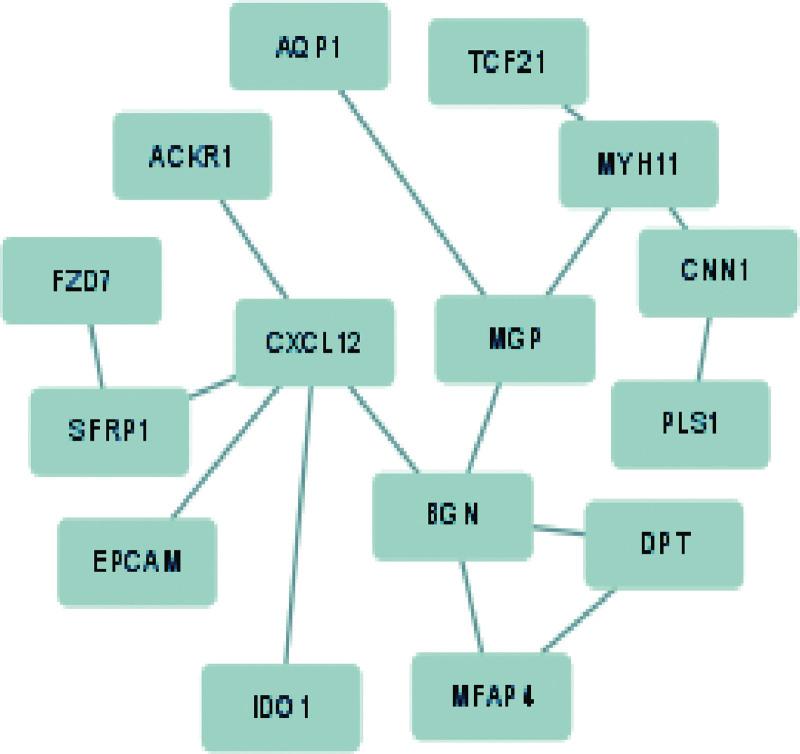 https://cdn.ncbi.nlm.nih.gov/pmc/blobs/1119/10553041/12736876a13f/medi-102-e35406-g004.jpg