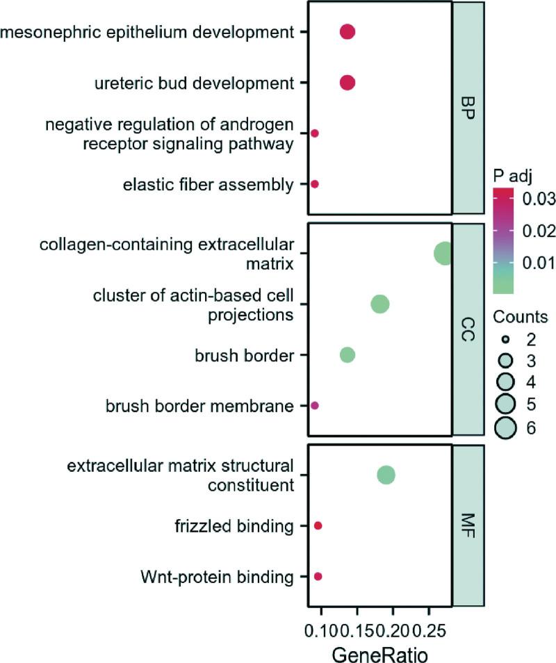 https://cdn.ncbi.nlm.nih.gov/pmc/blobs/1119/10553041/1c5225c8b5c3/medi-102-e35406-g003.jpg