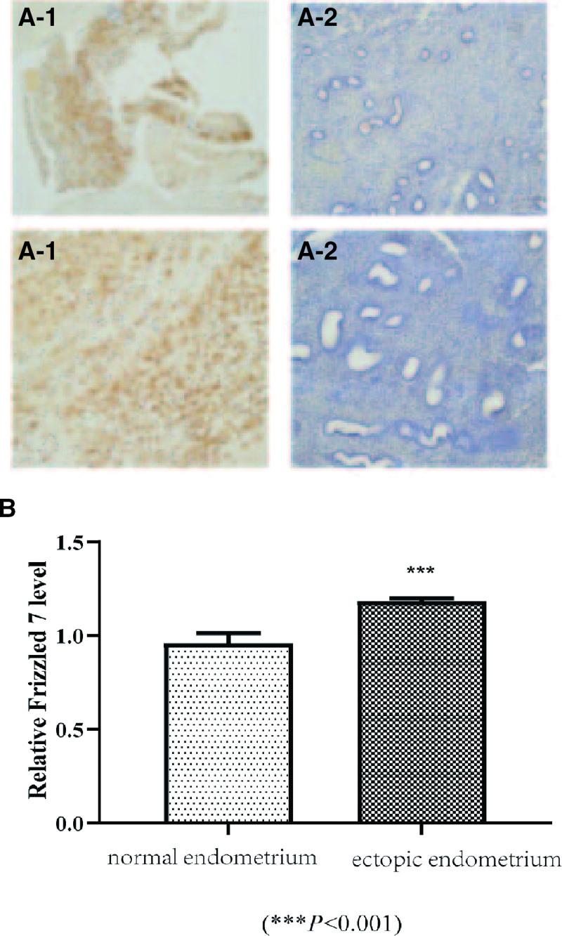 https://cdn.ncbi.nlm.nih.gov/pmc/blobs/1119/10553041/3fe6a808ea05/medi-102-e35406-g006.jpg