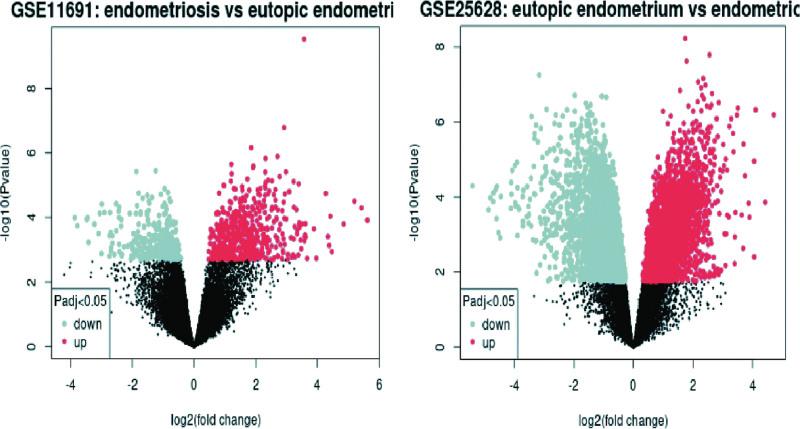 https://cdn.ncbi.nlm.nih.gov/pmc/blobs/1119/10553041/53e418f8a3cb/medi-102-e35406-g001.jpg