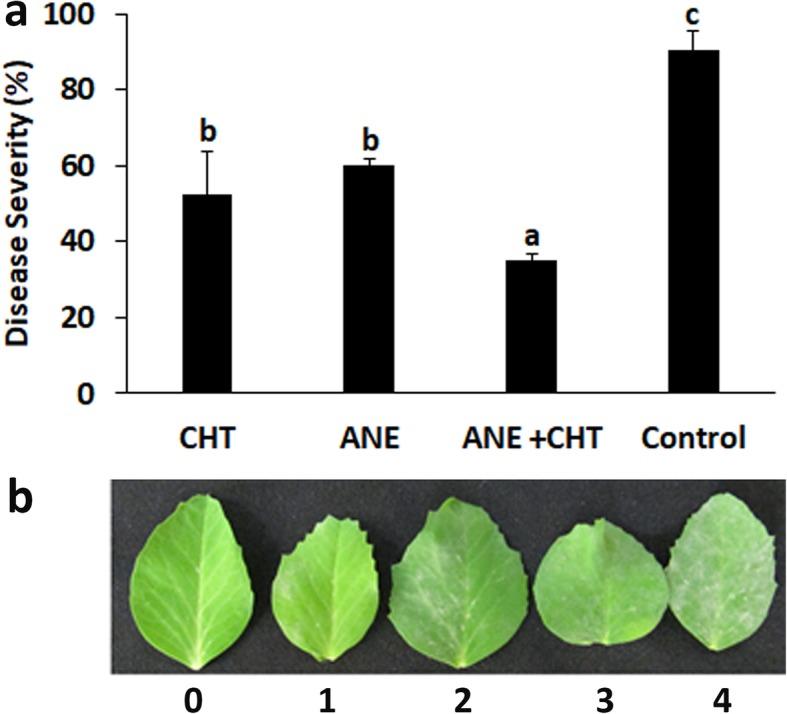 https://cdn.ncbi.nlm.nih.gov/pmc/blobs/111b/7069196/0be5dec529c2/12870_2020_2287_Fig1_HTML.jpg