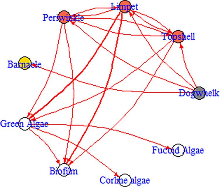 https://cdn.ncbi.nlm.nih.gov/pmc/blobs/111c/11630608/edd3ec256402/pone.0305882.g001.jpg