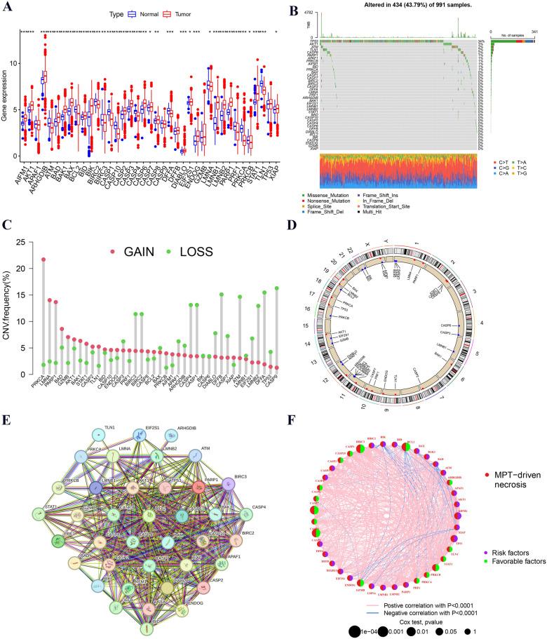 https://cdn.ncbi.nlm.nih.gov/pmc/blobs/111d/11834492/ef4396208b21/40001_2025_2370_Fig2_HTML.jpg