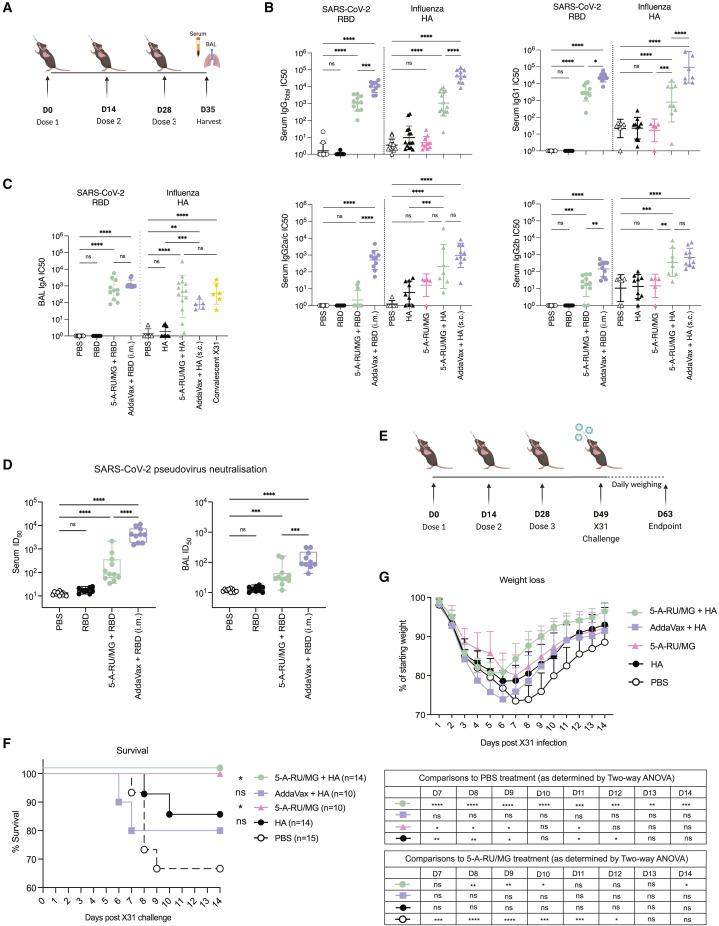 https://cdn.ncbi.nlm.nih.gov/pmc/blobs/111e/10045373/e483e816ecc9/gr2_lrg.jpg