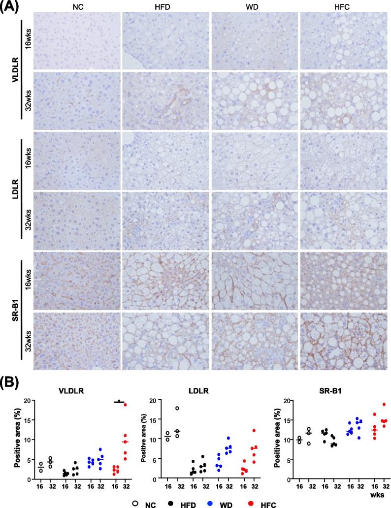 https://cdn.ncbi.nlm.nih.gov/pmc/blobs/111e/10777576/2e9507fbbad0/40364_2023_555_Fig7_HTML.jpg