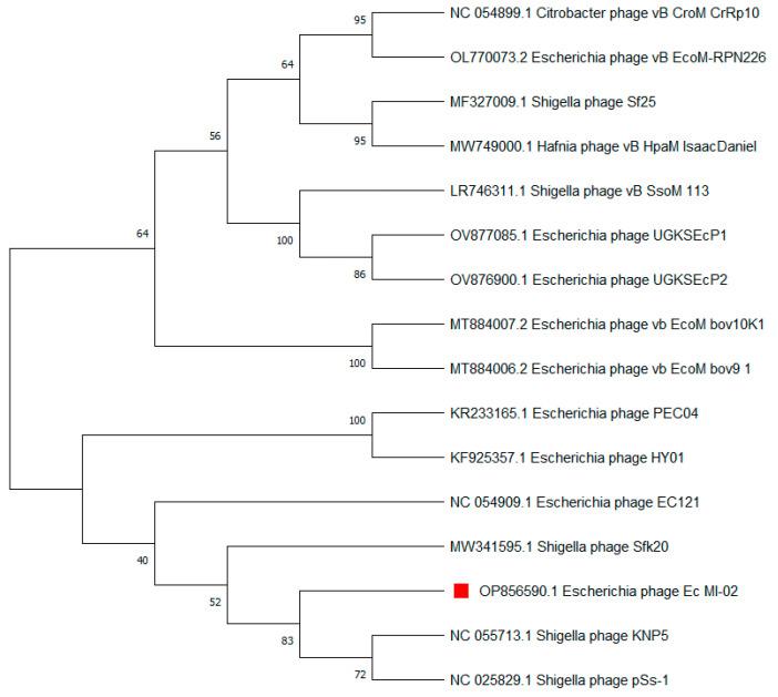 https://cdn.ncbi.nlm.nih.gov/pmc/blobs/111f/10253784/2af338a480eb/ijms-24-09506-g006.jpg