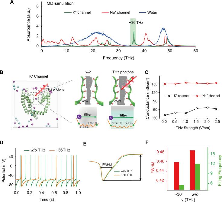 https://cdn.ncbi.nlm.nih.gov/pmc/blobs/111f/11434610/0cc180b39862/elife-97444-fig1.jpg