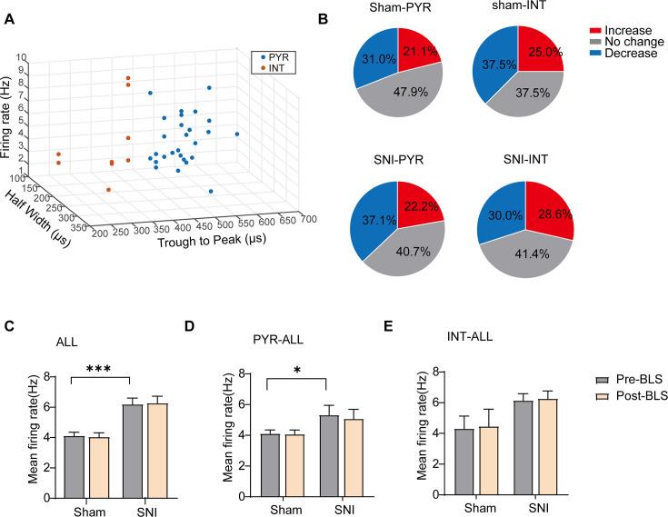https://cdn.ncbi.nlm.nih.gov/pmc/blobs/111f/11434610/7d57beacc188/elife-97444-fig4-figsupp1.jpg