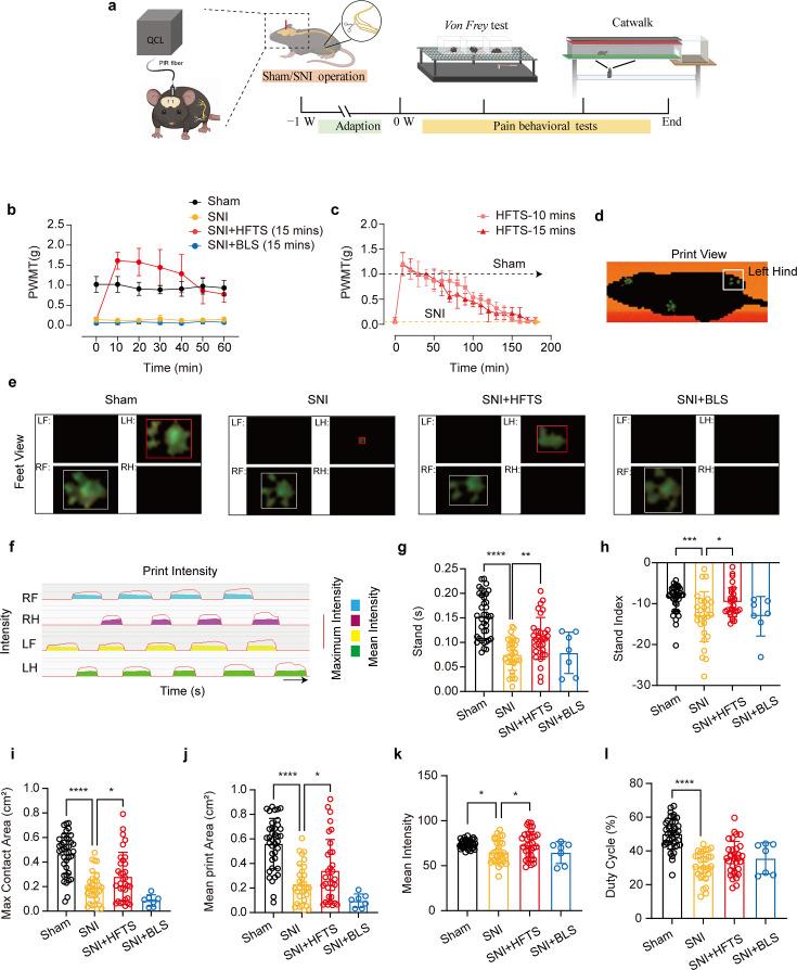 https://cdn.ncbi.nlm.nih.gov/pmc/blobs/111f/11434610/9db0f0e6f2a5/elife-97444-fig5.jpg
