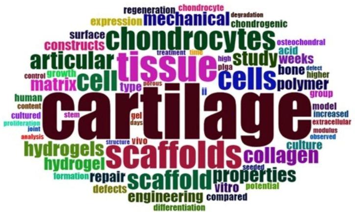 https://cdn.ncbi.nlm.nih.gov/pmc/blobs/1121/9104973/165faef1ec25/polymers-14-01802-g003.jpg