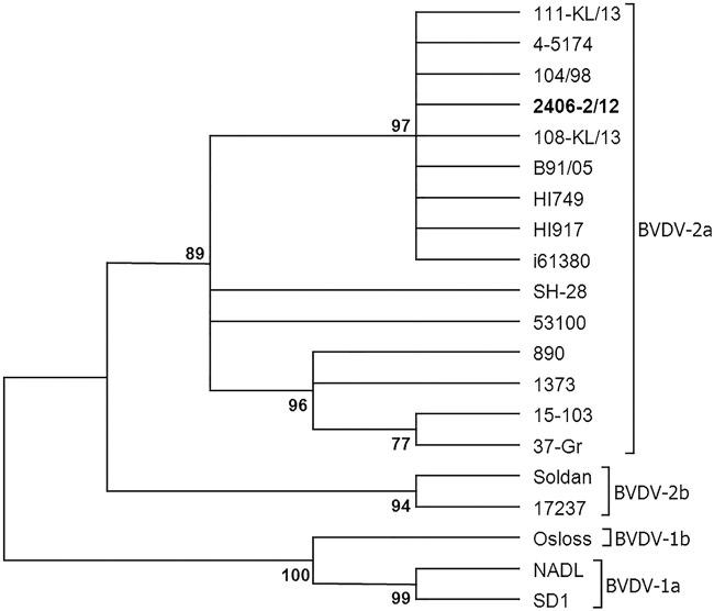 https://cdn.ncbi.nlm.nih.gov/pmc/blobs/1122/4567162/04cc537685f9/vetreco2014000110f01.jpg