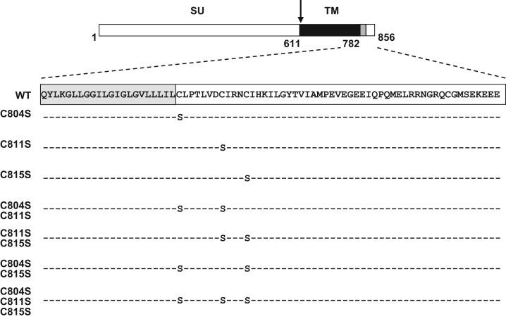 https://cdn.ncbi.nlm.nih.gov/pmc/blobs/1124/7111954/203820636806/gr1_lrg.jpg