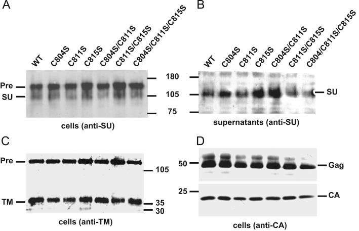 https://cdn.ncbi.nlm.nih.gov/pmc/blobs/1124/7111954/5a4380a70791/gr2_lrg.jpg