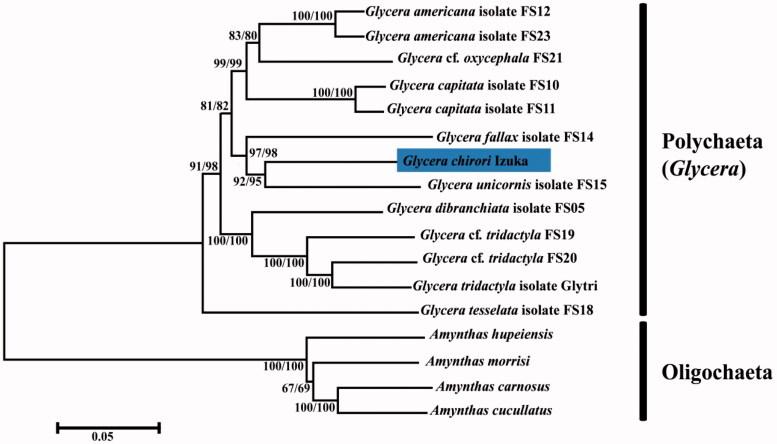 https://cdn.ncbi.nlm.nih.gov/pmc/blobs/1124/7707398/46e9539e6552/TMDN_A_1681318_F0001_C.jpg