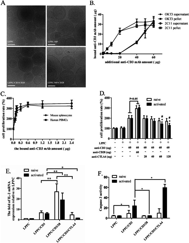 https://cdn.ncbi.nlm.nih.gov/pmc/blobs/1126/9869520/02c14a20de08/13046_2023_2601_Fig1_HTML.jpg