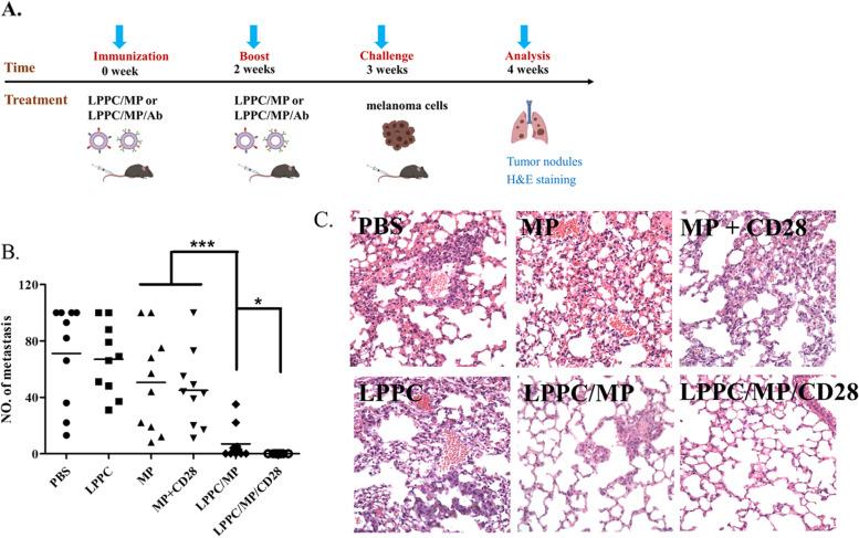 https://cdn.ncbi.nlm.nih.gov/pmc/blobs/1126/9869520/4565be469b75/13046_2023_2601_Fig7_HTML.jpg