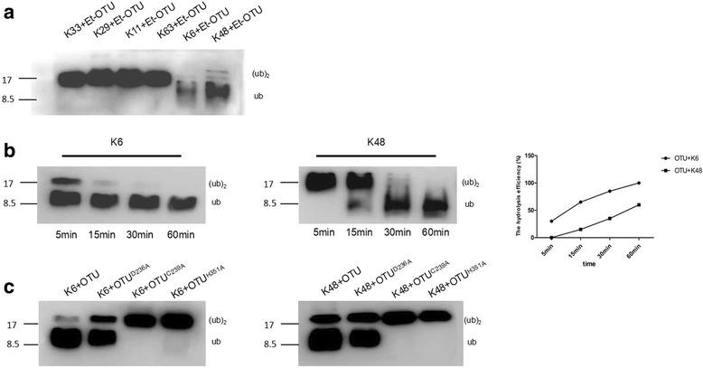https://cdn.ncbi.nlm.nih.gov/pmc/blobs/1128/5793433/449715e72f47/13071_2018_2626_Fig4_HTML.jpg