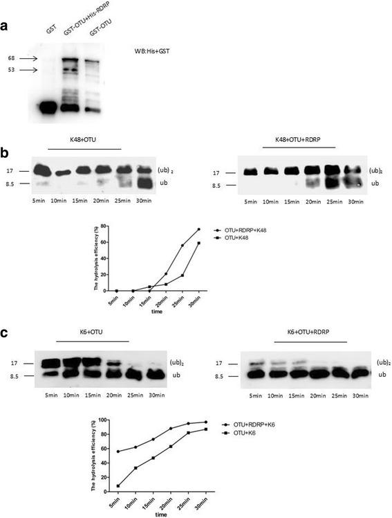 https://cdn.ncbi.nlm.nih.gov/pmc/blobs/1128/5793433/e413d35fe45c/13071_2018_2626_Fig5_HTML.jpg