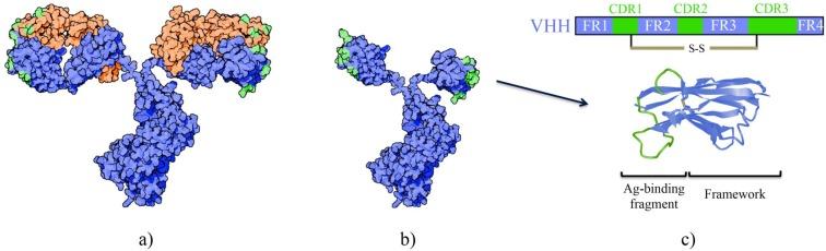 https://cdn.ncbi.nlm.nih.gov/pmc/blobs/1128/6831473/386baa168df2/thnov09p7772g002.jpg