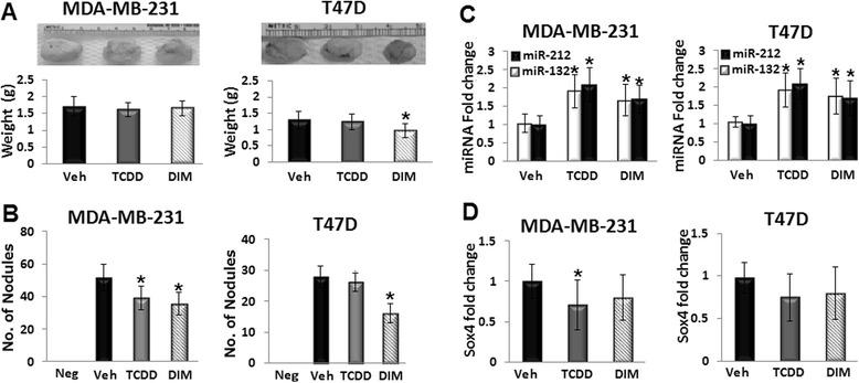 https://cdn.ncbi.nlm.nih.gov/pmc/blobs/112c/4573482/6306ba34abf1/12943_2015_443_Fig5_HTML.jpg