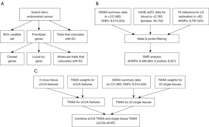 https://cdn.ncbi.nlm.nih.gov/pmc/blobs/112d/11651742/6b1108364422/tcr-13-11-5971-f1.jpg