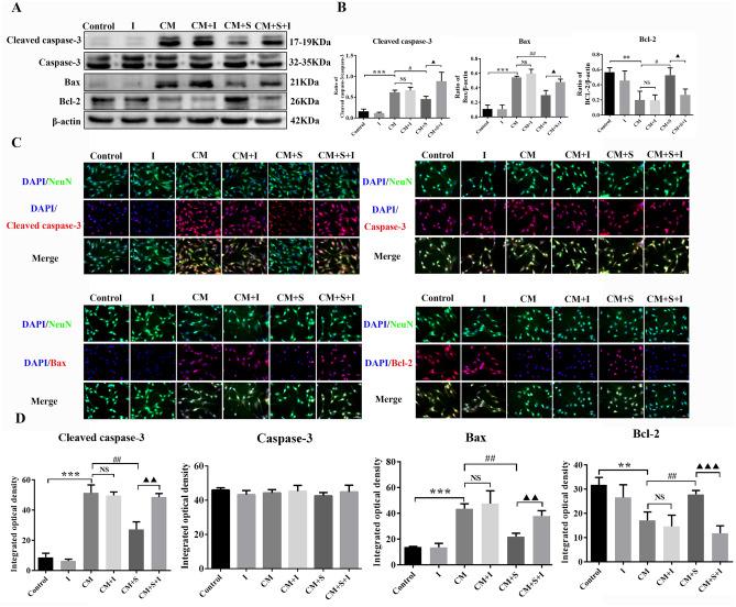 https://cdn.ncbi.nlm.nih.gov/pmc/blobs/112f/11166921/75dd1afe7fa3/41598_2024_64226_Fig8_HTML.jpg