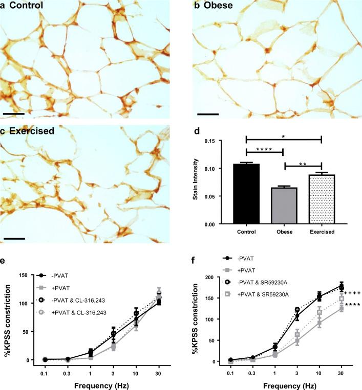 https://cdn.ncbi.nlm.nih.gov/pmc/blobs/1130/8578065/29e9283261a5/10557_2020_7136_Fig4_HTML.jpg