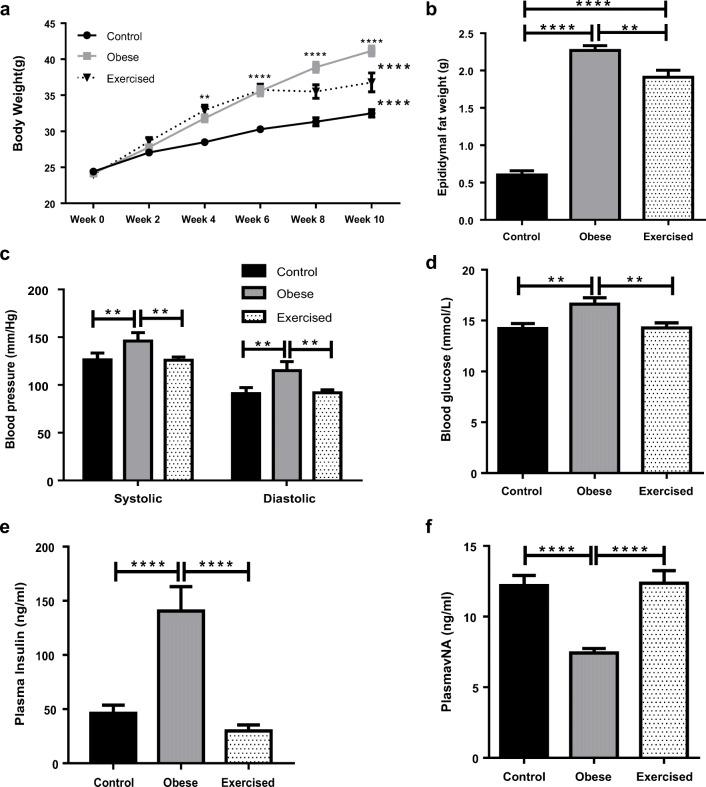 https://cdn.ncbi.nlm.nih.gov/pmc/blobs/1130/8578065/ae2ae62f94be/10557_2020_7136_Fig1_HTML.jpg