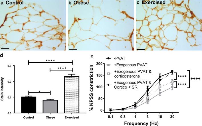 https://cdn.ncbi.nlm.nih.gov/pmc/blobs/1130/8578065/aed89ed8991d/10557_2020_7136_Fig5_HTML.jpg