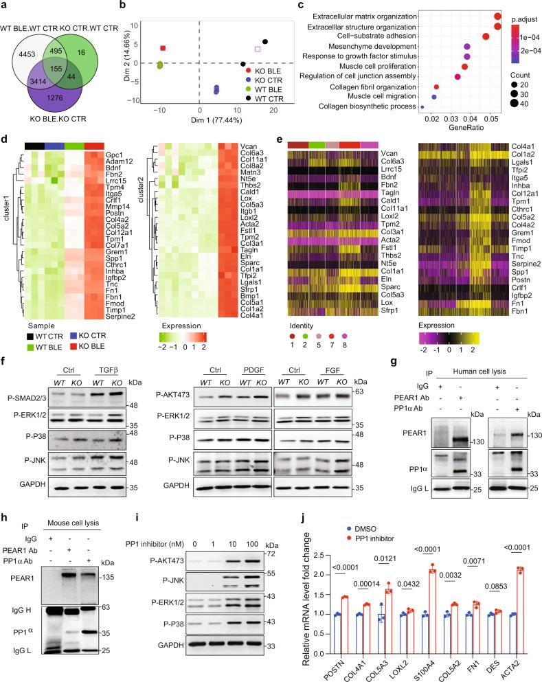 https://cdn.ncbi.nlm.nih.gov/pmc/blobs/1130/9675736/3fc69ce767b8/41467_2022_34870_Fig3_HTML.jpg