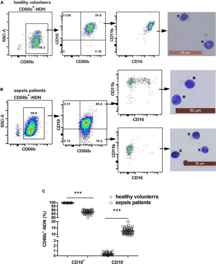 https://cdn.ncbi.nlm.nih.gov/pmc/blobs/1130/9846122/6f578338bb5c/fmed-09-1100756-g004.jpg