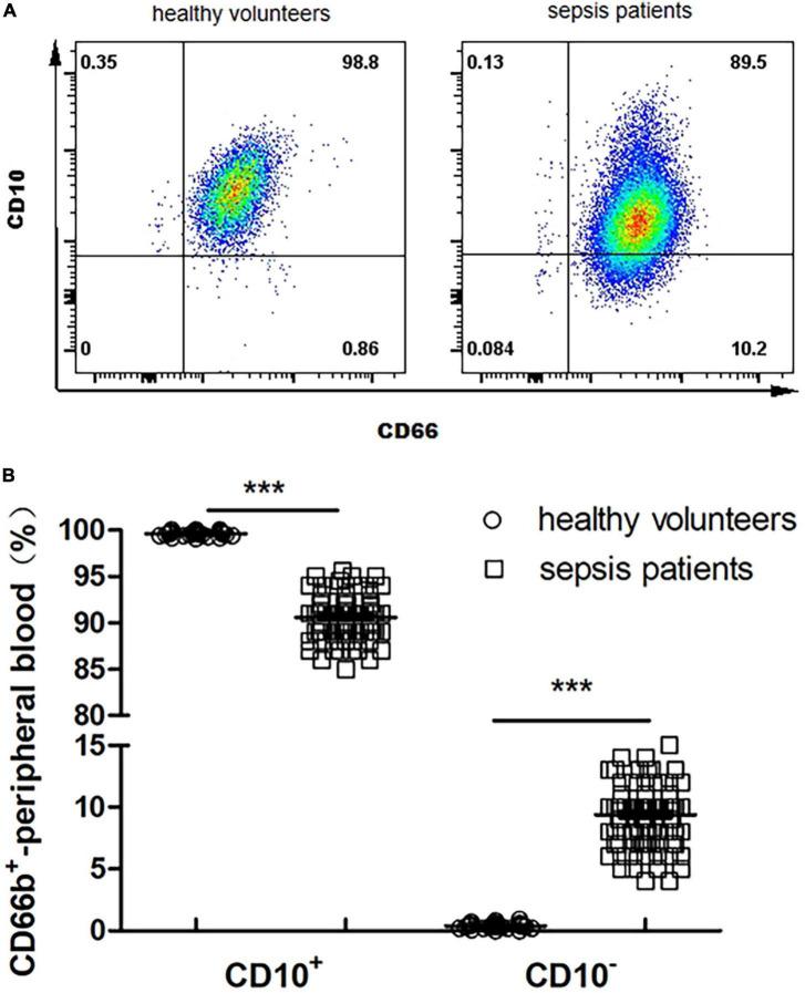 https://cdn.ncbi.nlm.nih.gov/pmc/blobs/1130/9846122/a4872d3d61dd/fmed-09-1100756-g002.jpg