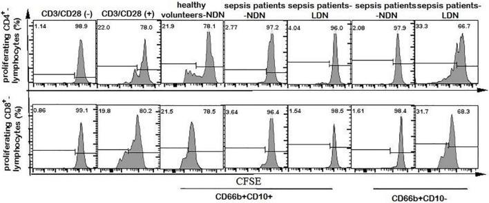 https://cdn.ncbi.nlm.nih.gov/pmc/blobs/1130/9846122/cc31e7fda00f/fmed-09-1100756-g006.jpg